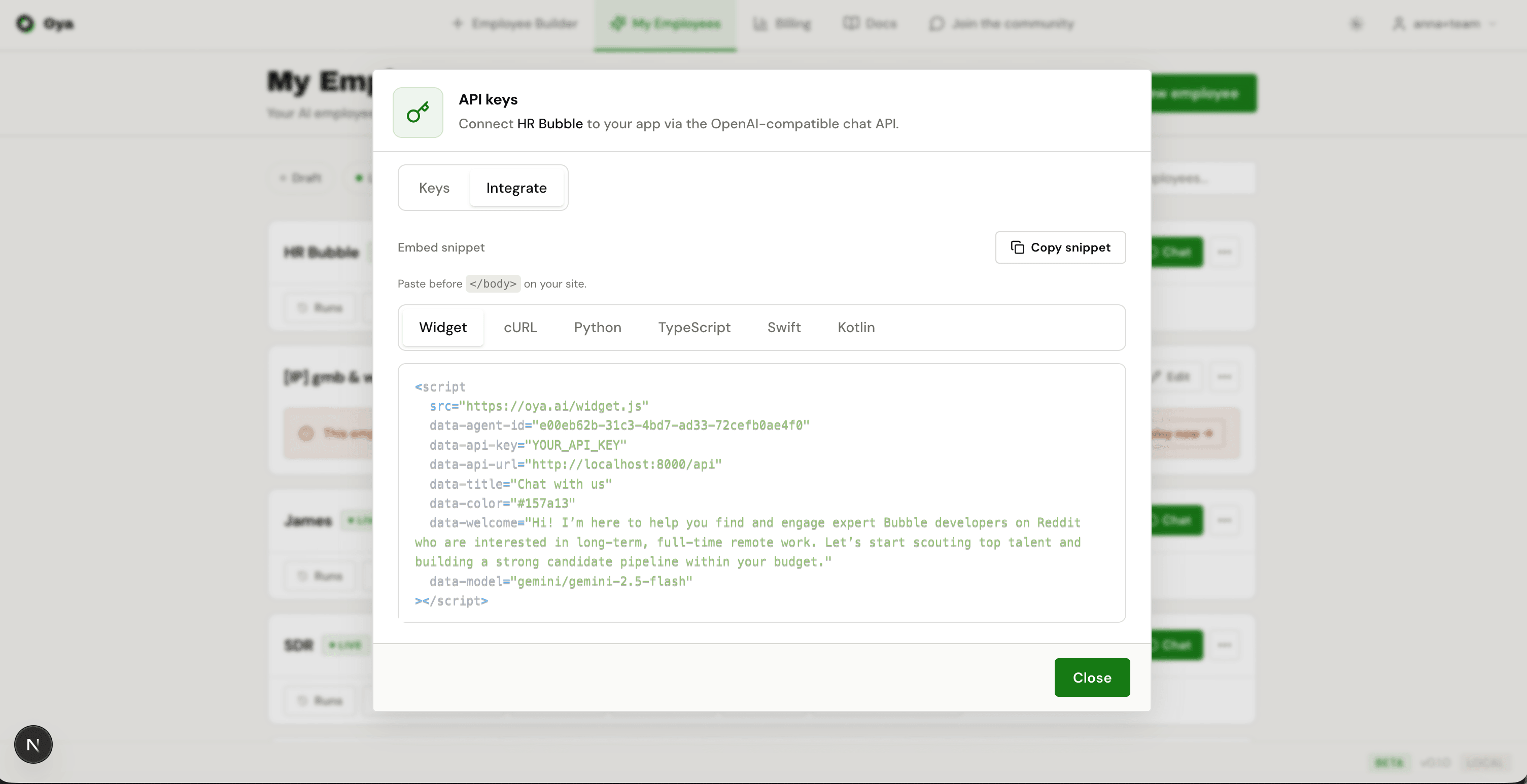 API Key dialog with Widget tab showing embed code